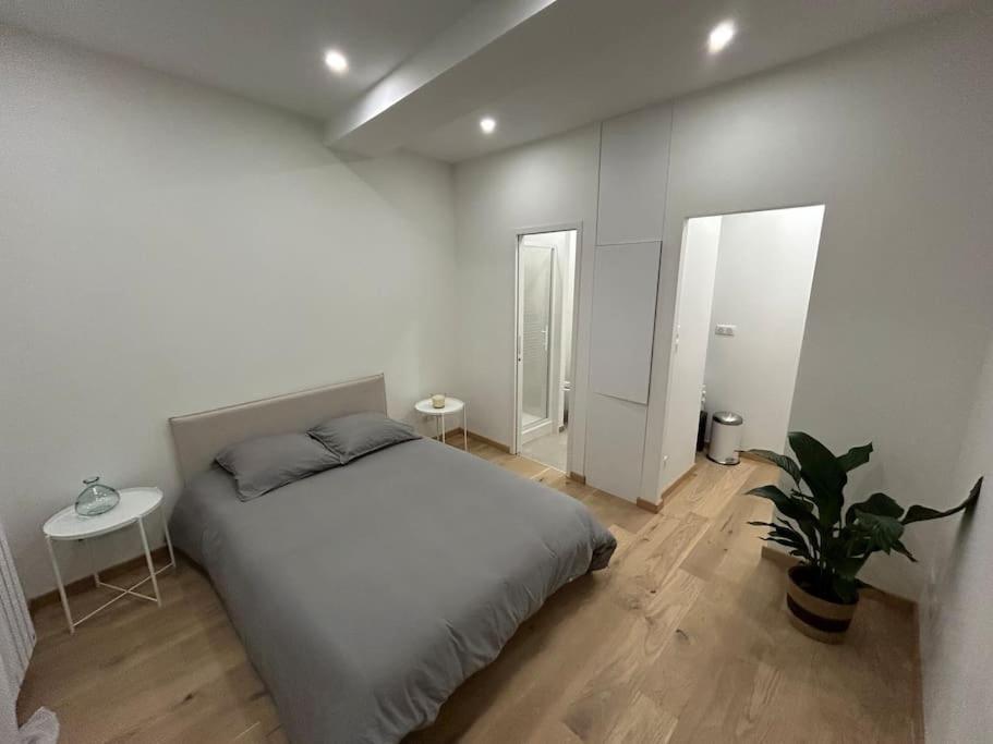 Le Magnifique, Hyper Centre Apartment Toulouse Exterior photo